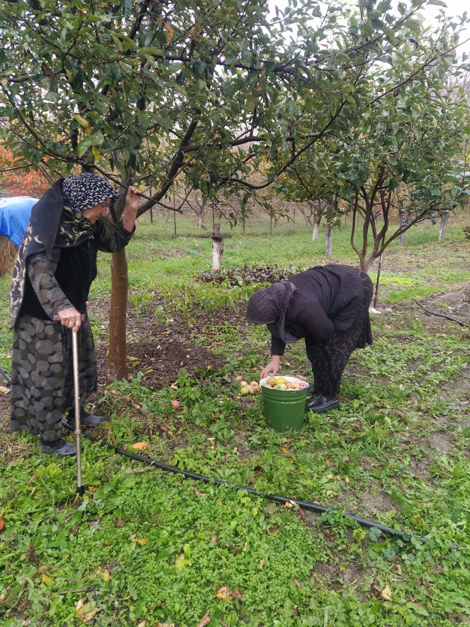 Оказывает социально-бытовые услуги.