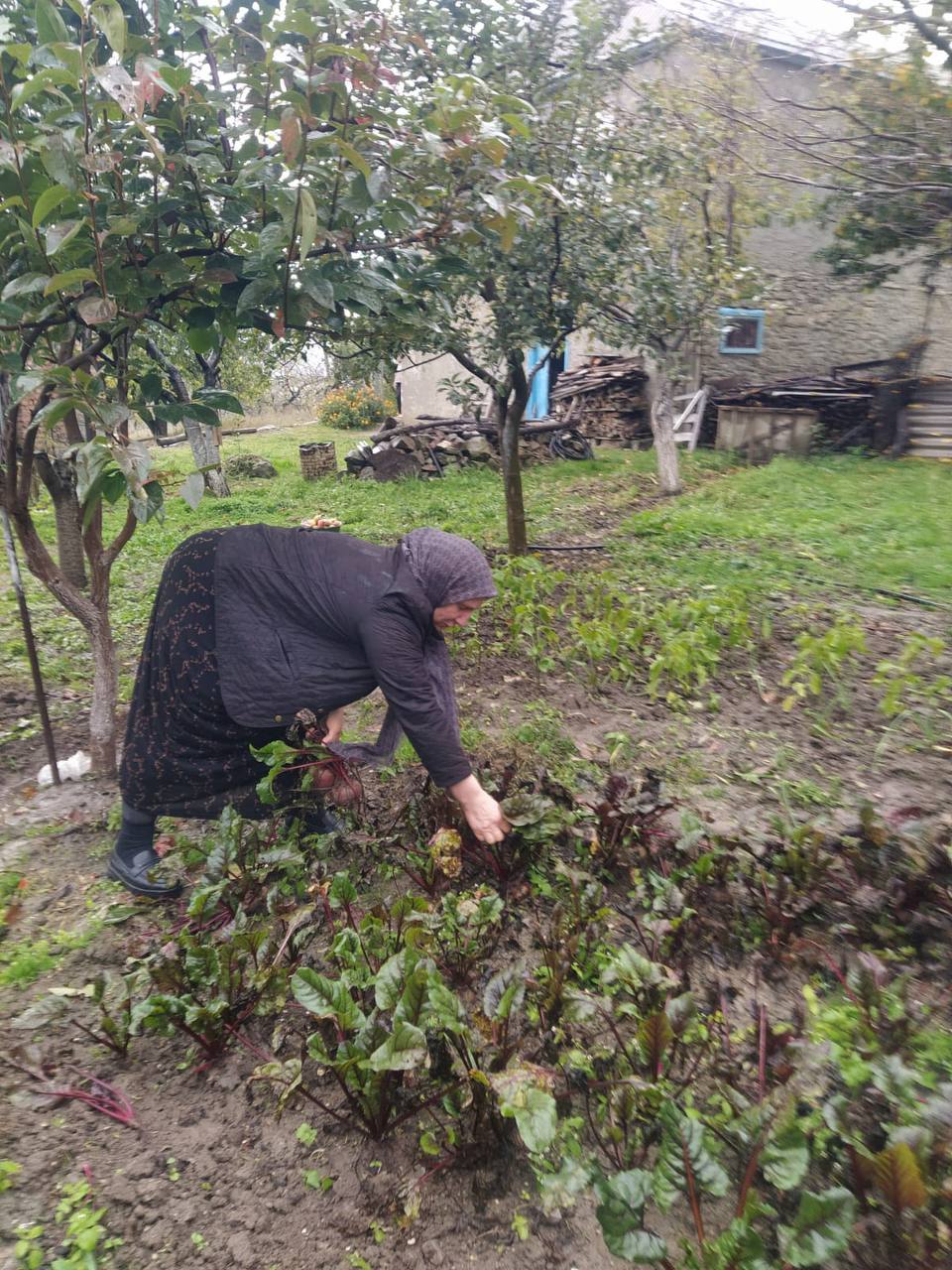 Оказывает социально-бытовые услуги.