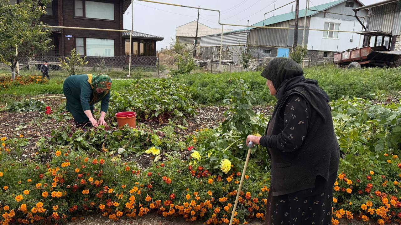 Социальный работник 2- отделения социального обслуживания на дому граждан пожилого возраста и инвалидов, посещает  свою  подопечную